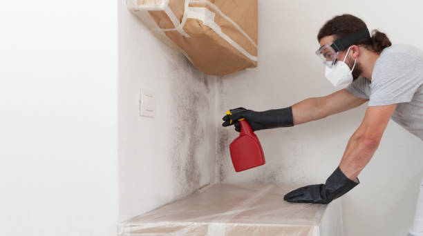 Professional Mold Remediation technician working in Bahama, NC
